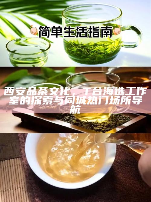 西安品茶文化，T台海选工作室的探索与同城热门场所导航
