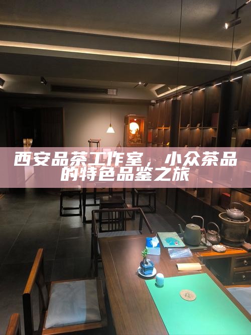 西安品茶工作室，小众茶品的特色品鉴之旅